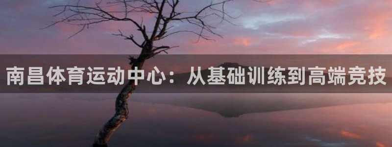 vsport体育在线官网