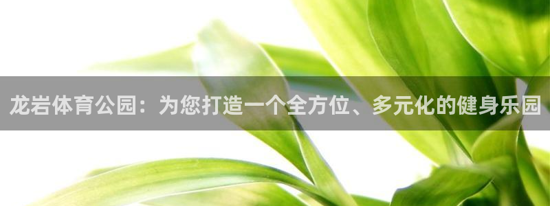 vsport体育：龙岩体育公园：为您打造一个全方位、多元化的健身乐园