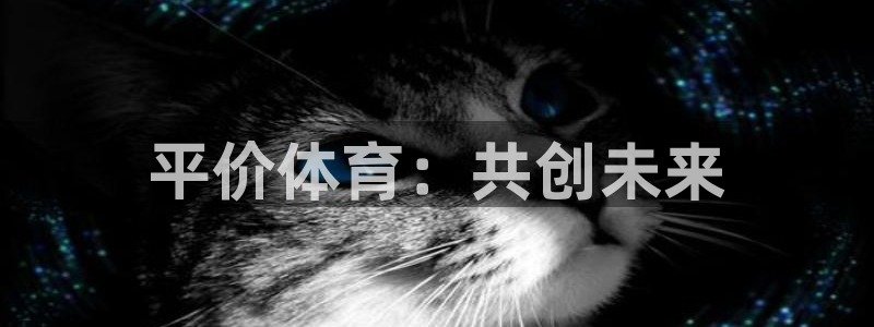 vsport体育在线官网：平价体育：共创未来
