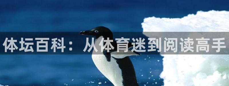 vsport体育在线官网：体坛百科：从体育迷到阅读高手