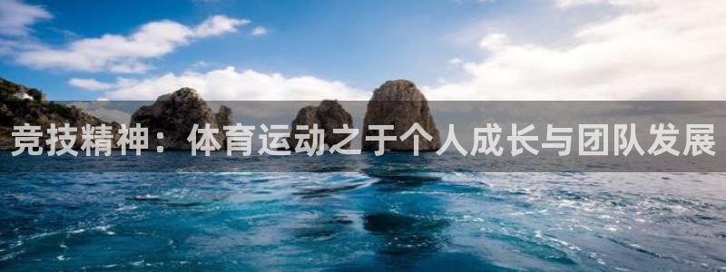 vsport体育在线官网
