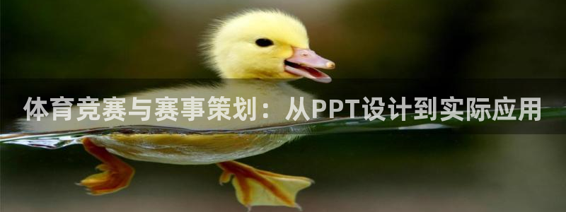 vsport体育在线官网：体育竞赛与赛事策划：从PPT设计到实际应用