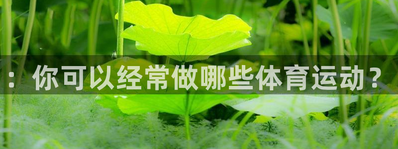 vsport体育：：你可以经常做哪些体育运动？