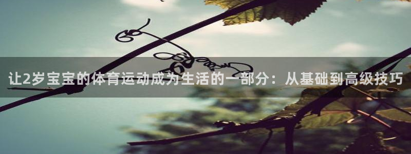 vsport体育：让2岁宝宝的体育运动成为生活的一部分：从基础到高级技巧