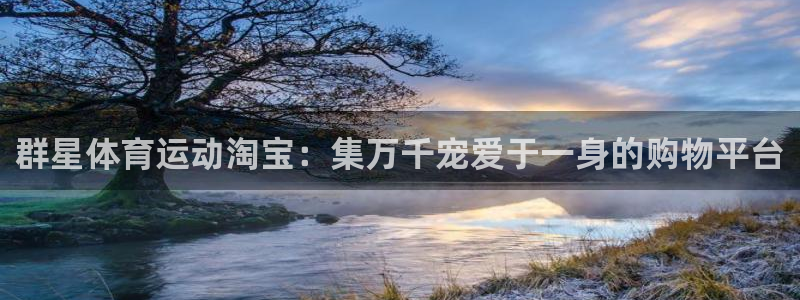 vsport体育：群星体育运动淘宝：集万千宠爱于一身的购物平台