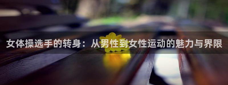 vsport体育在线官网：女体操选手的转身：从男性到女性运动的魅力与界限