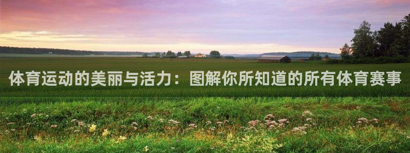 vsport体育：体育运动的美丽与活力：图解你所知道的所有体育赛事