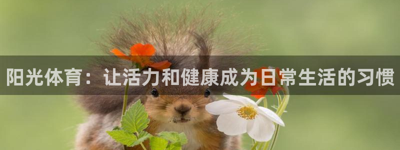 vsport体育在线官网：阳光体育：让活力和健康成为日常生活的习惯