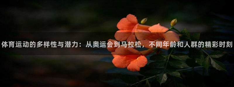 vsport体育：体育运动的多样性与潜力：从奥运会到马拉松，不同年龄和人群的精彩时刻