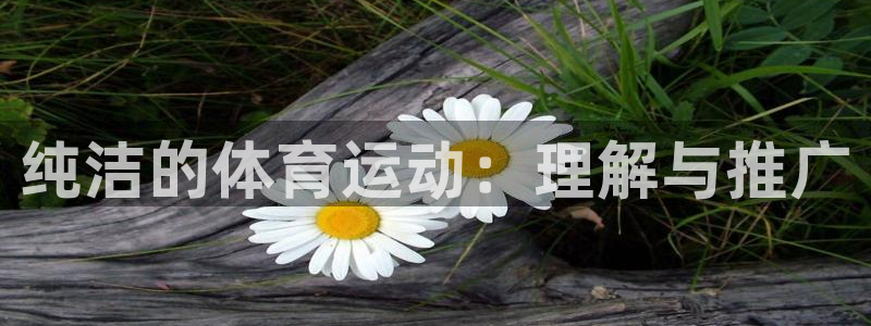 vsport体育在线官网